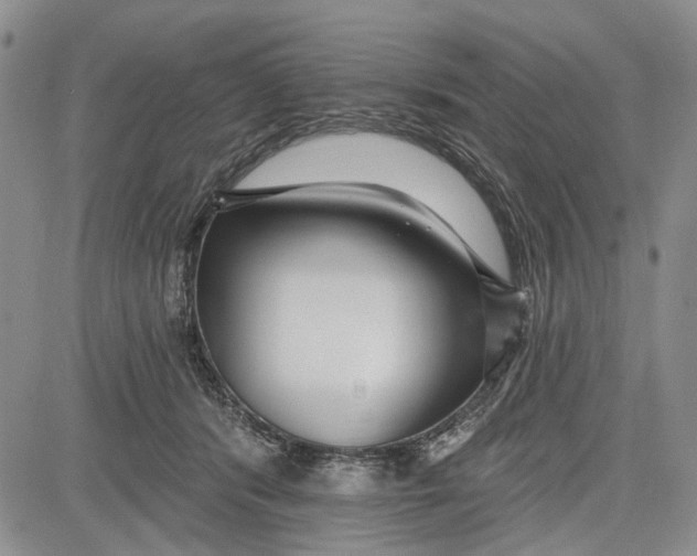 X0000081580416200702051244