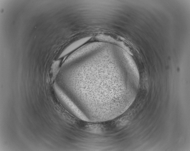 X0000081580417200702051244