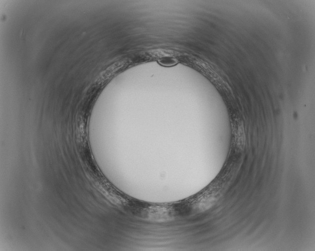 X0000081580418200702051244