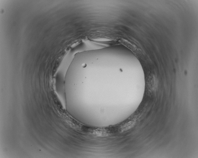 X0000081580420200702051244