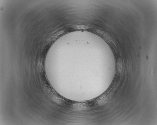 X0000081580422200702051244