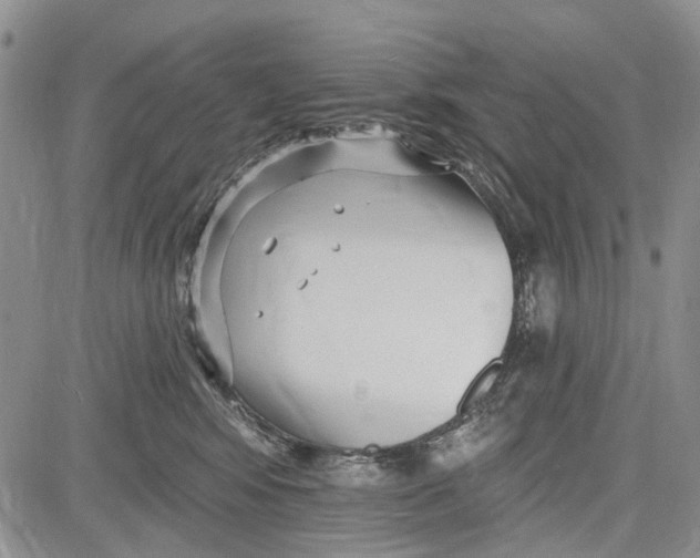 X0000081580424200702051244