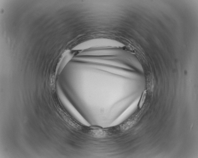 X0000081580425200702051244