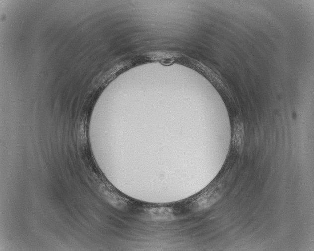 X0000081580426200702051244