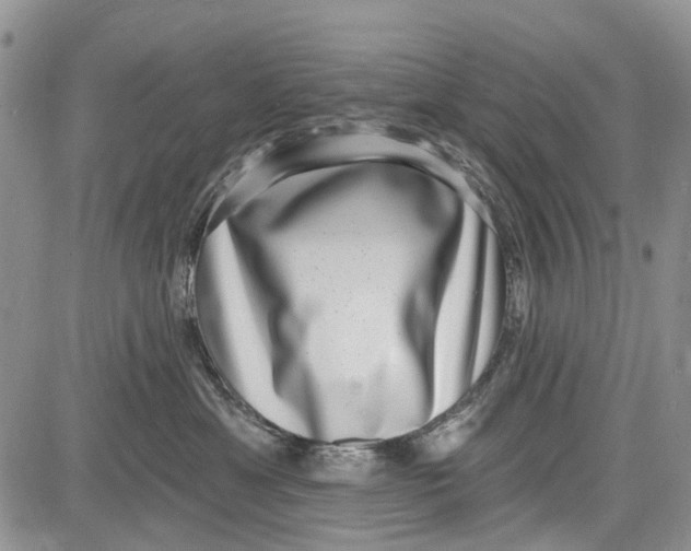 X0000081580429200702051244