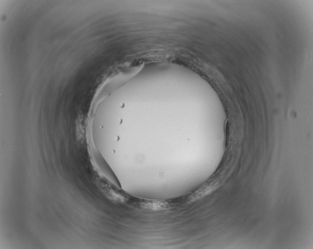 X0000081580432200702051244