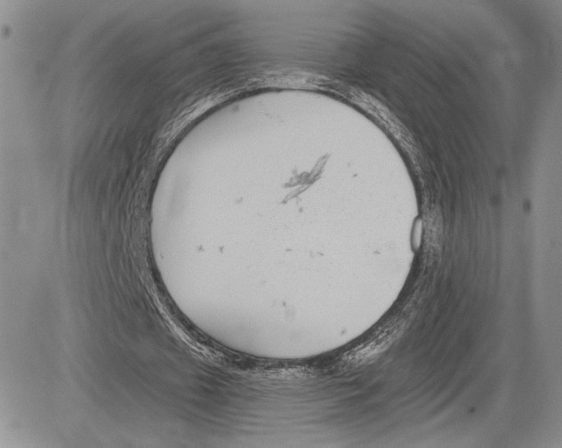 X0000081580433200702051243