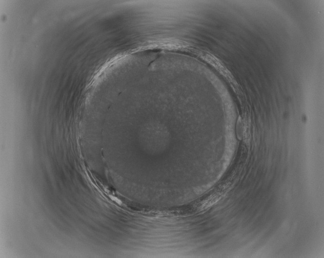 X0000081580434200702051243