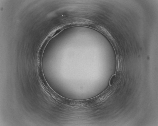 X0000081580435200702051243