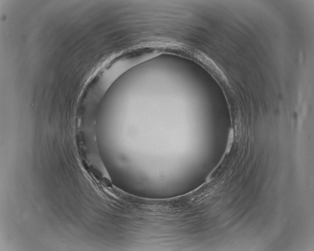 X0000081580436200702051243