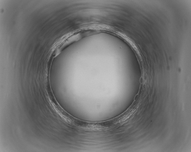 X0000081580437200702051243