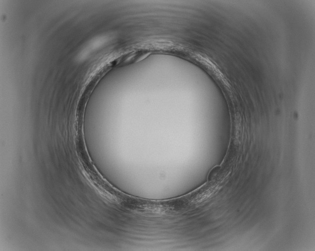 X0000081580439200702051243