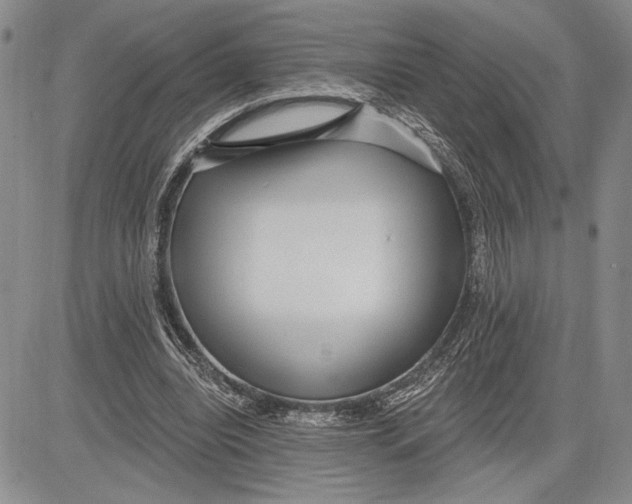 X0000081580440200702051243