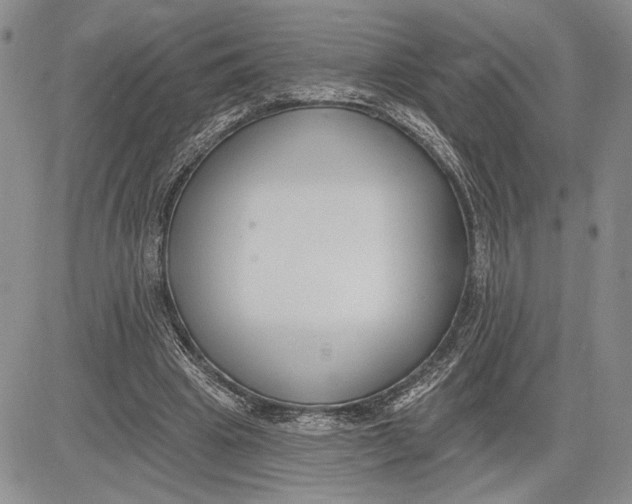 X0000081580441200702051243