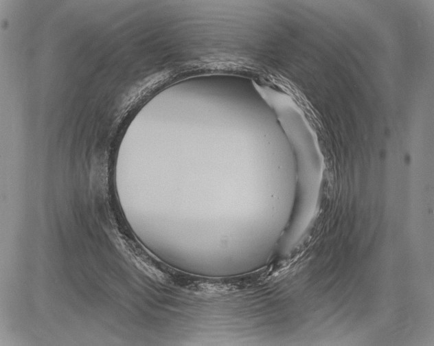 X0000081580442200702051243