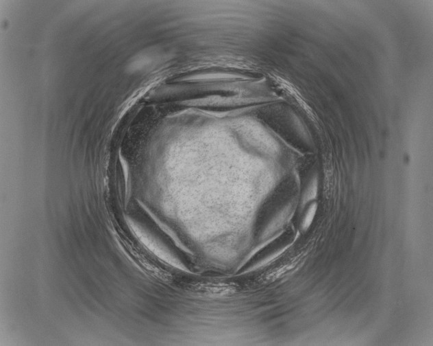 X0000081580443200702051243