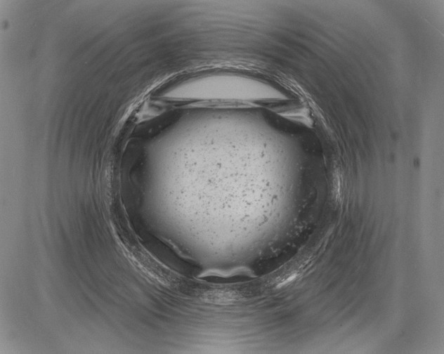 X0000081580444200702051243