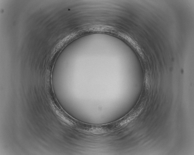 X0000081580445200702051243