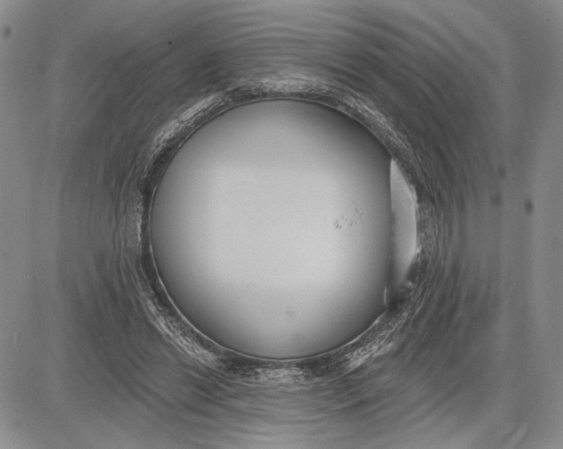 X0000081580446200702051243