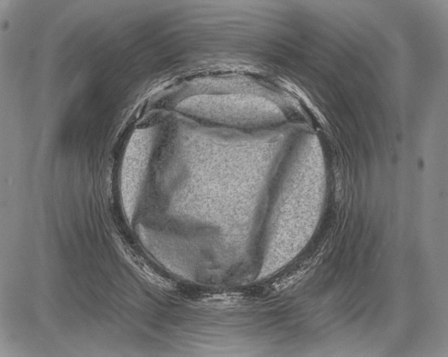 X0000081580447200702051243