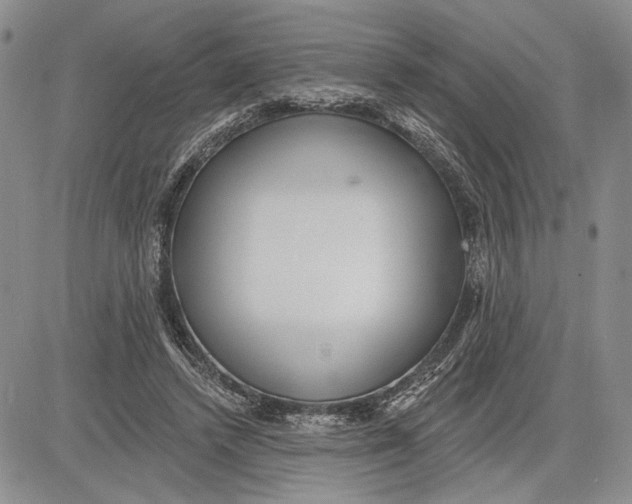 X0000081580448200702051243