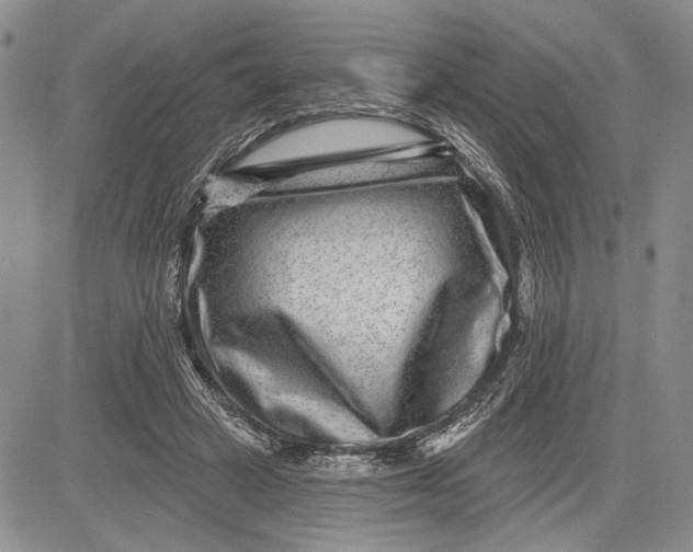 X0000081580449200702051243