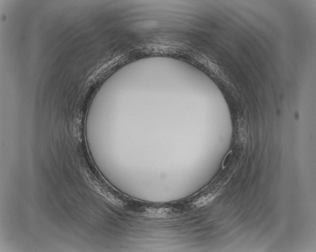 X0000081580450200702051243