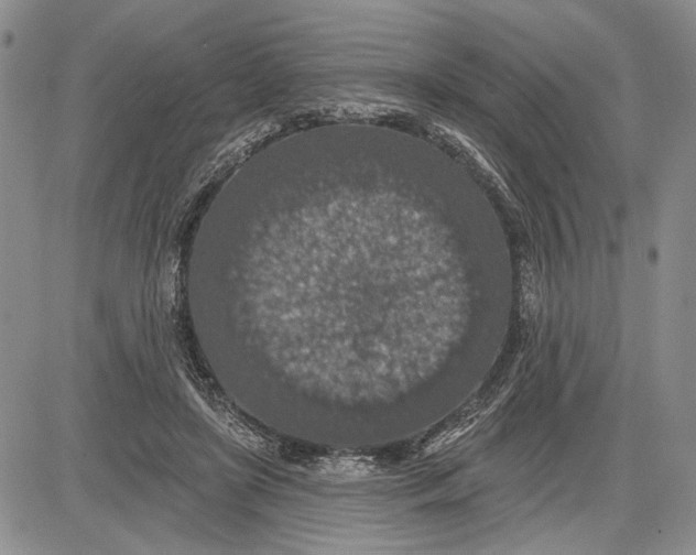 X0000081580451200702051243