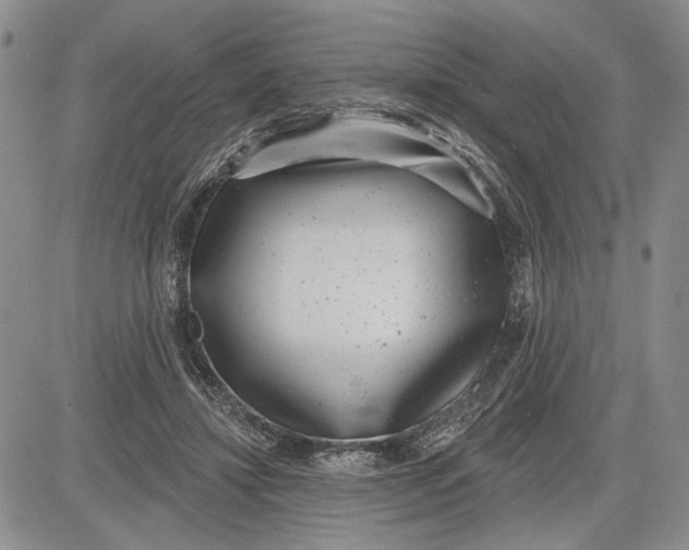 X0000081580452200702051243