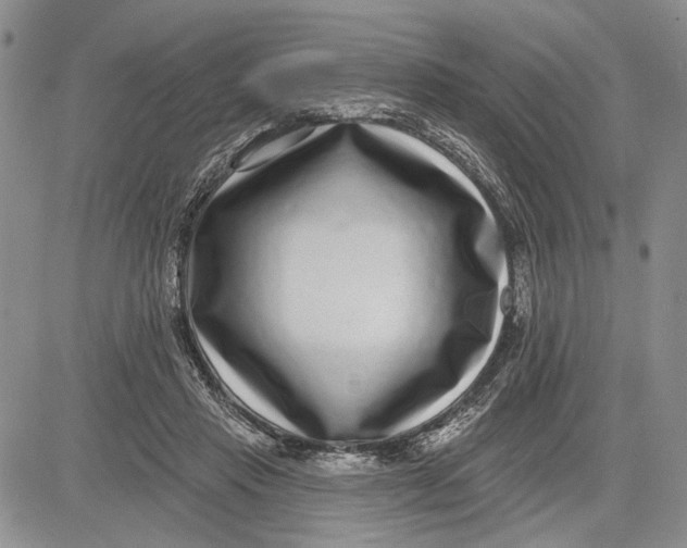 X0000081580453200702051243