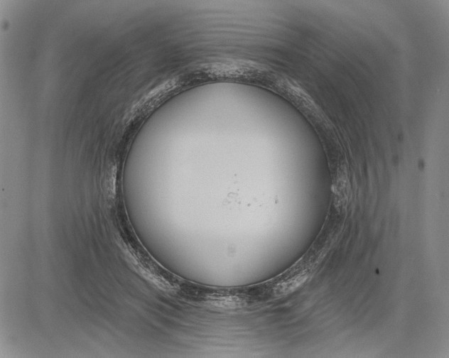 X0000081580454200702051243