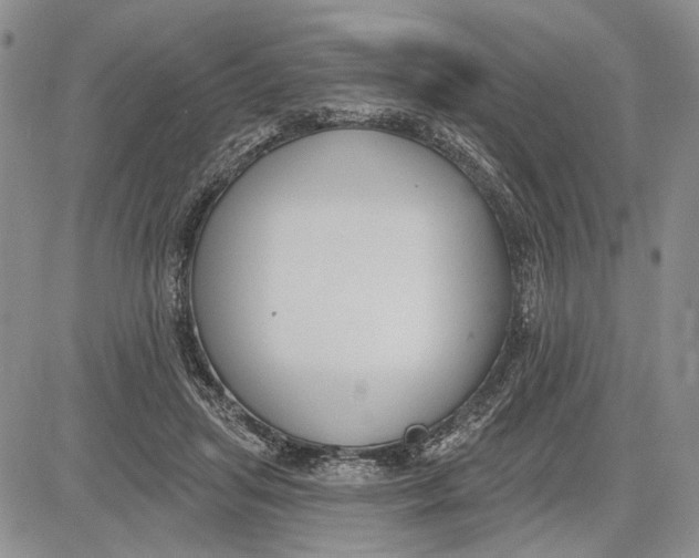 X0000081580455200702051243