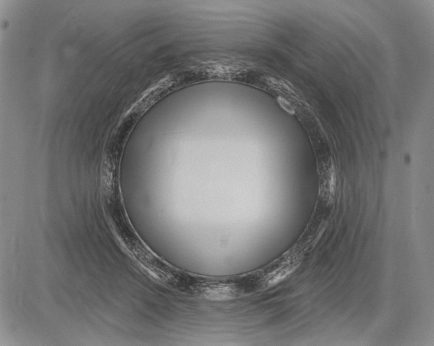 X0000081580456200702051243