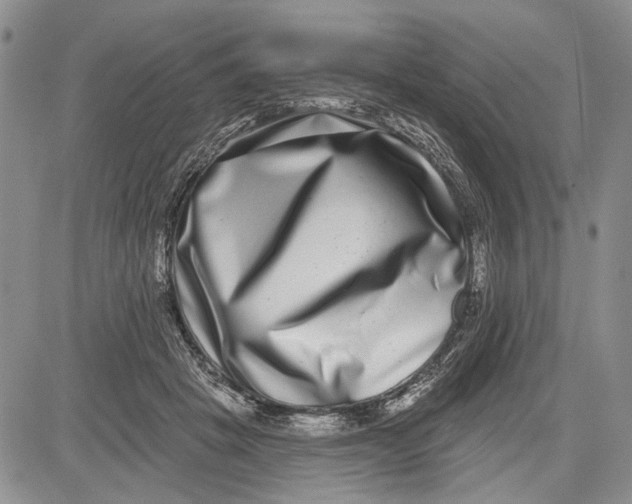 X0000081580457200702051243