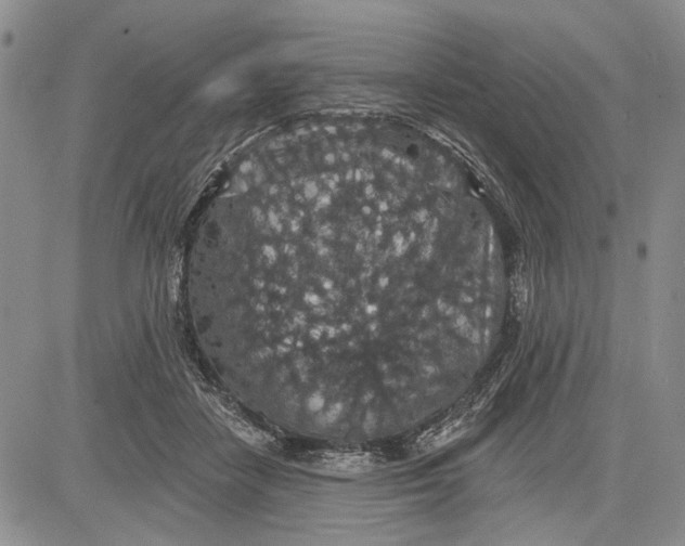 X0000081580458200702051243