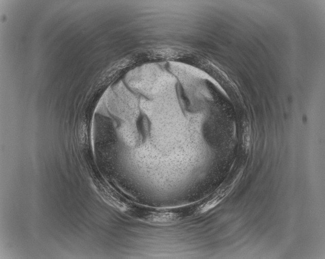 X0000081580459200702051243