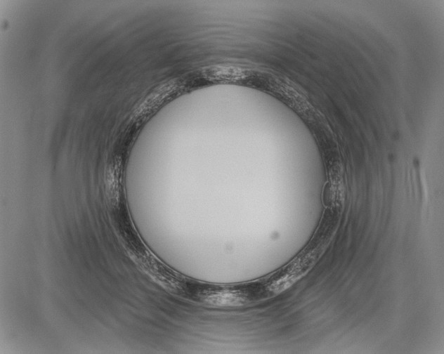 X0000081580460200702051243