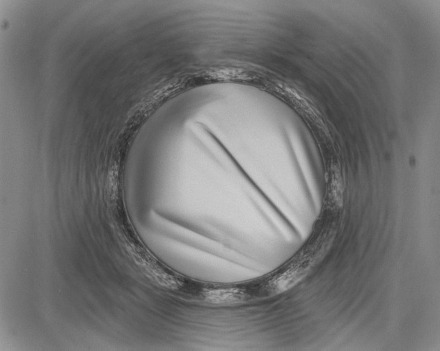 X0000081580461200702051243