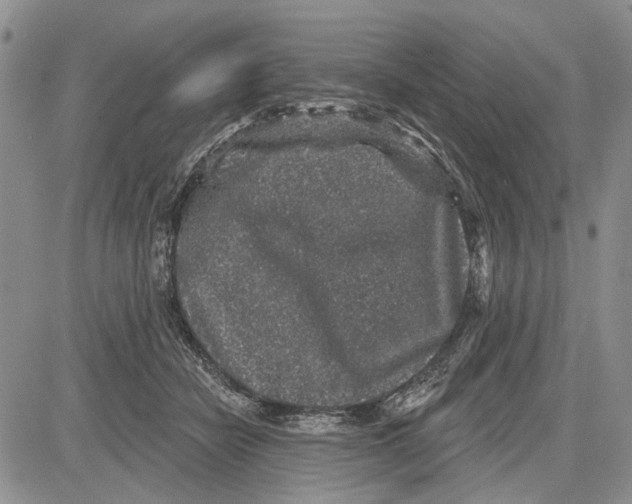 X0000081580462200702051243