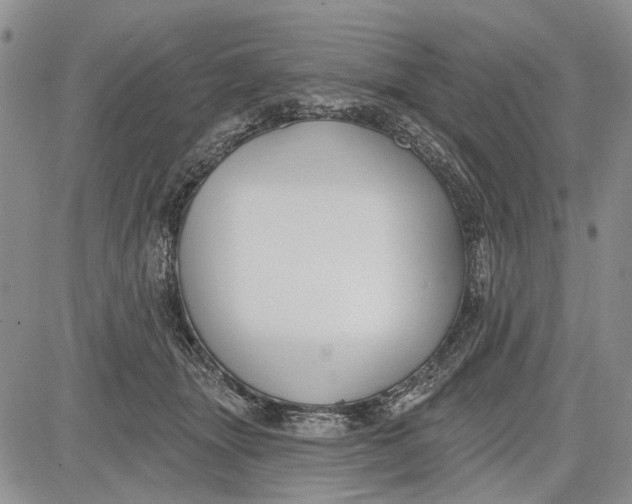 X0000081580463200702051243