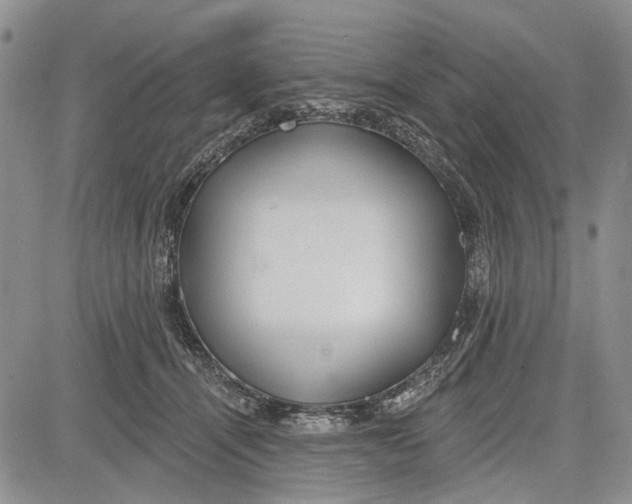 X0000081580464200702051243