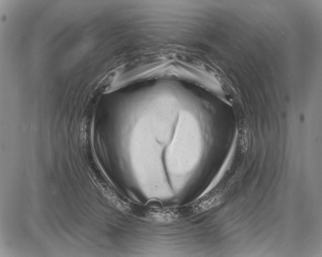 X0000081580466200702051243