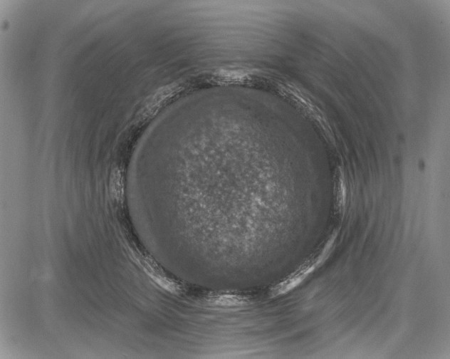 X0000081580467200702051243