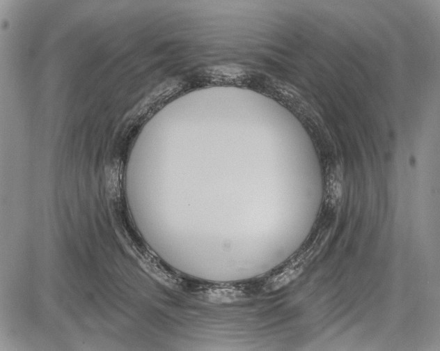 X0000081580468200702051243