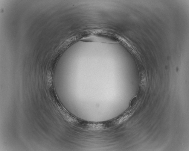 X0000081580469200702051243