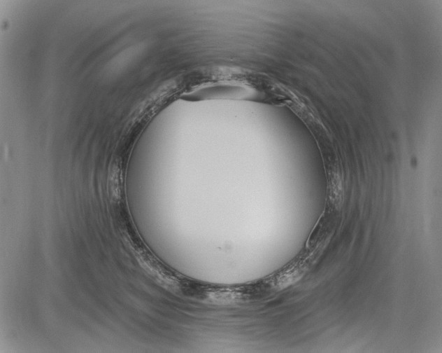 X0000081580470200702051243