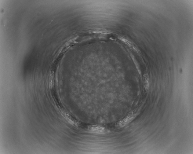 X0000081580471200702051243