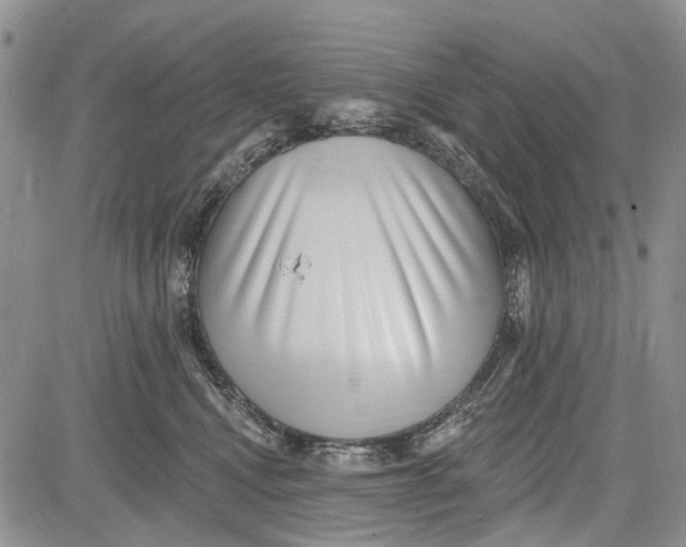 X0000081580472200702051243