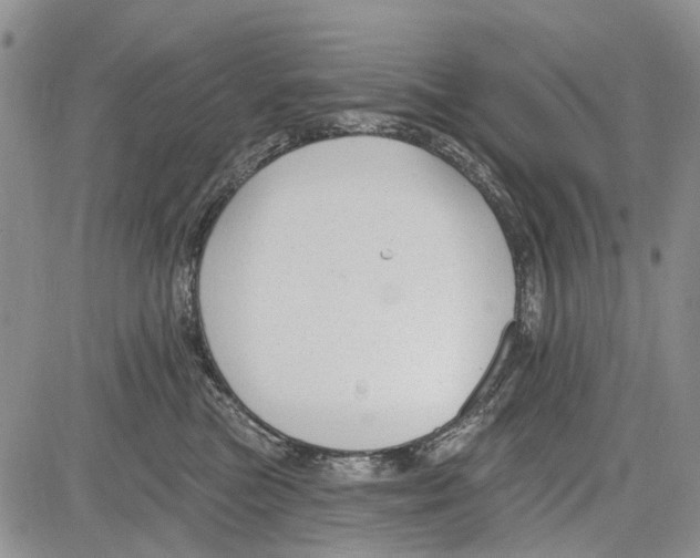 X0000081580473200702051244