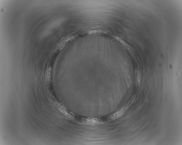 X0000081580475200702051244